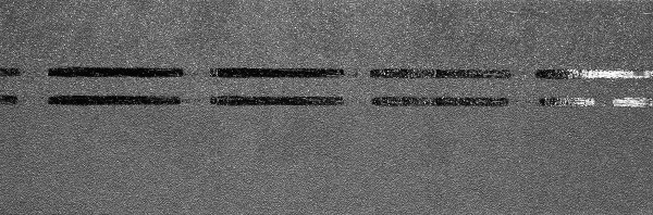 Коньково-карнизная черепица Docke Premium, черника купить в Пыть-Яхе