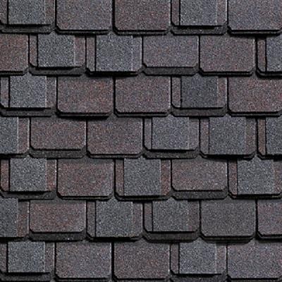 Двухслойная ламинированная черепица Shinglas, серия Континент – Азия купить в Пыть-Яхе